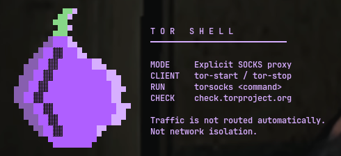 Cropped screenshot of the Tor shell's purple onion banner and explicit proxy instructions